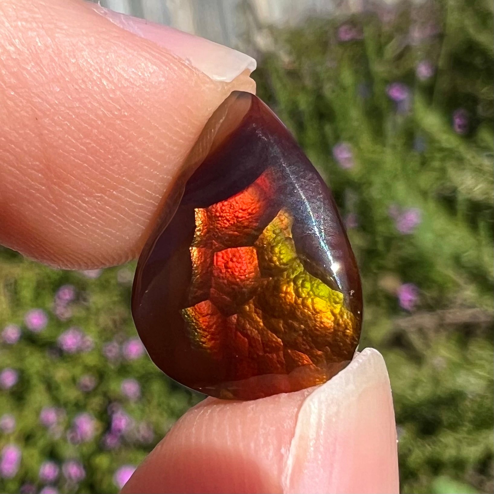 A loose, pear shaped Mexican fire agate gemstone.  The stone is predominantly vivid red with green overtones.