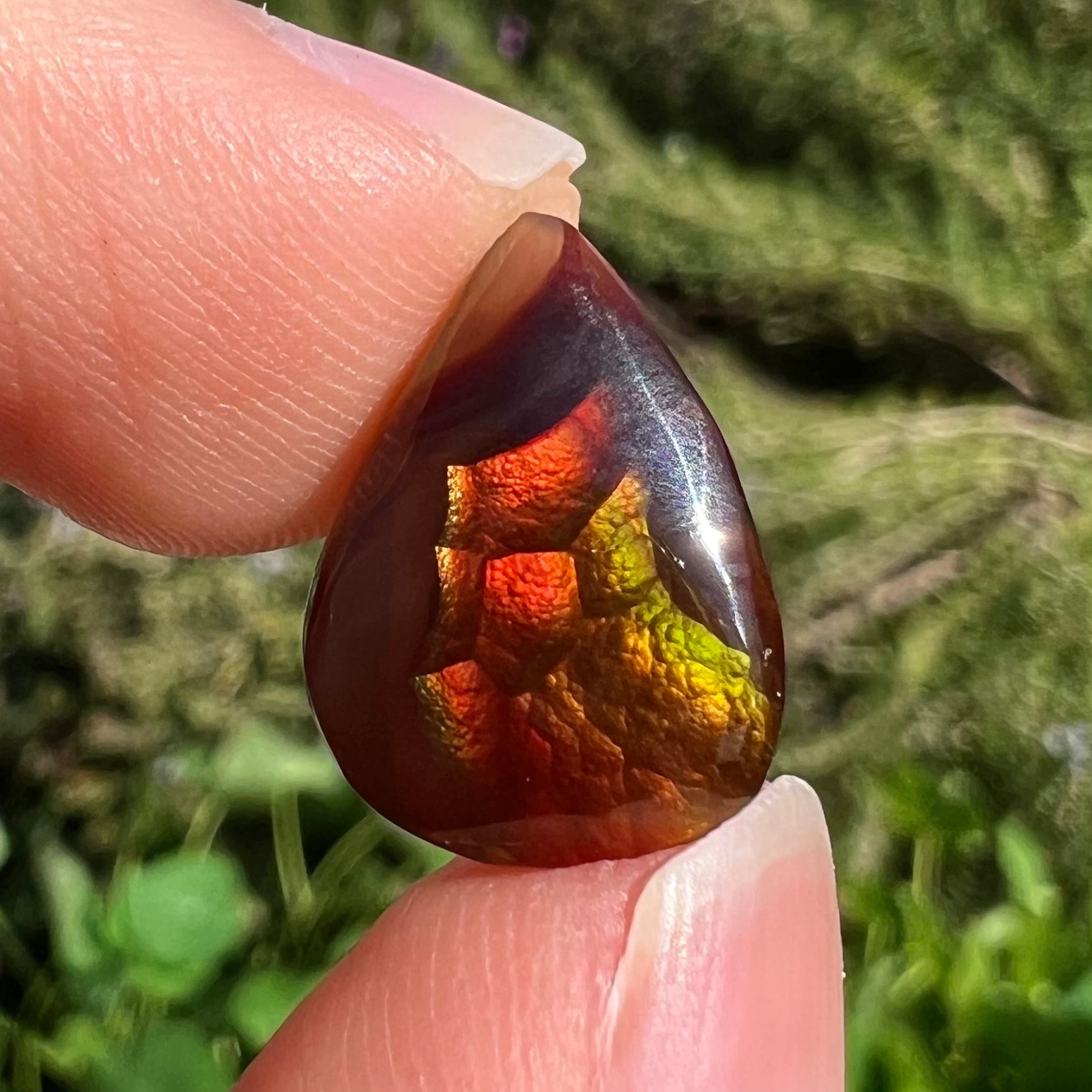 A loose, pear shaped Mexican fire agate gemstone.  The stone is predominantly vivid red with green overtones.