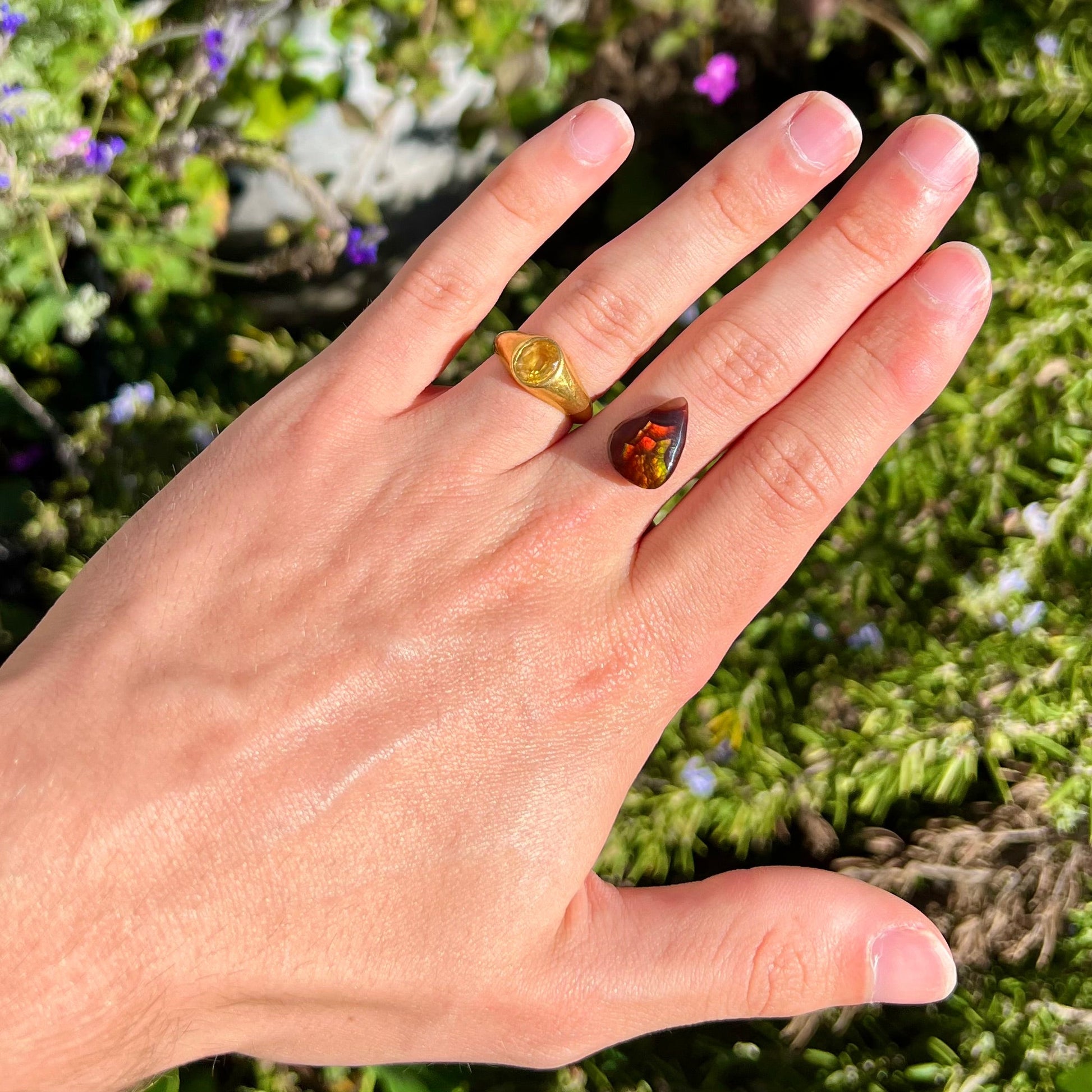 A loose, pear shaped Mexican fire agate gemstone.  The stone is predominantly vivid red with green overtones.