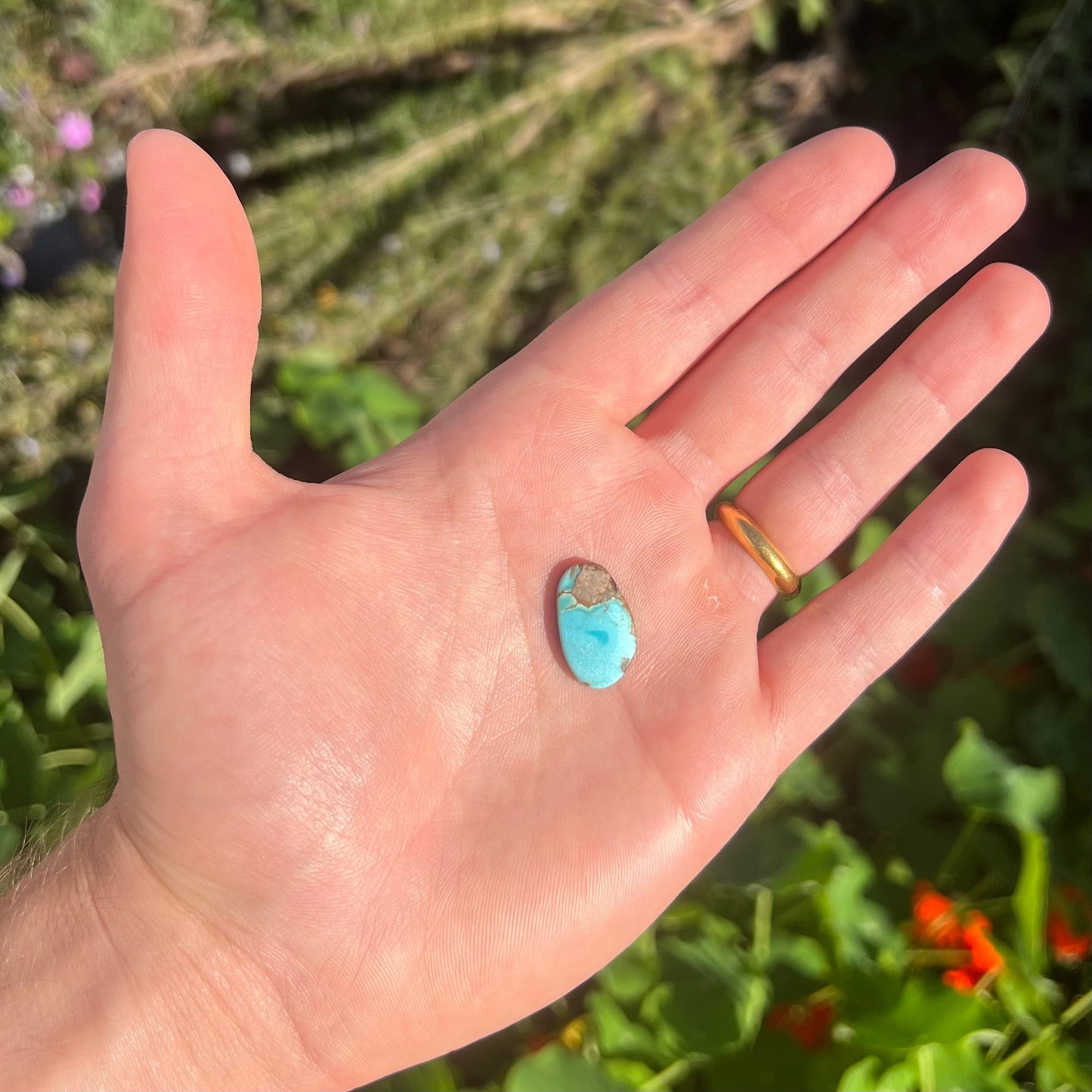 A loose pilot mountain turquoise cabochon. The stone is blue with brown matrix.