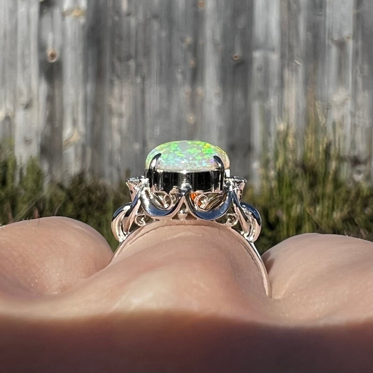 An Australian crystal opal engagement ring set with diamonds in a platinum filigree mounting. The opal plays green/blue colors and has a crack.