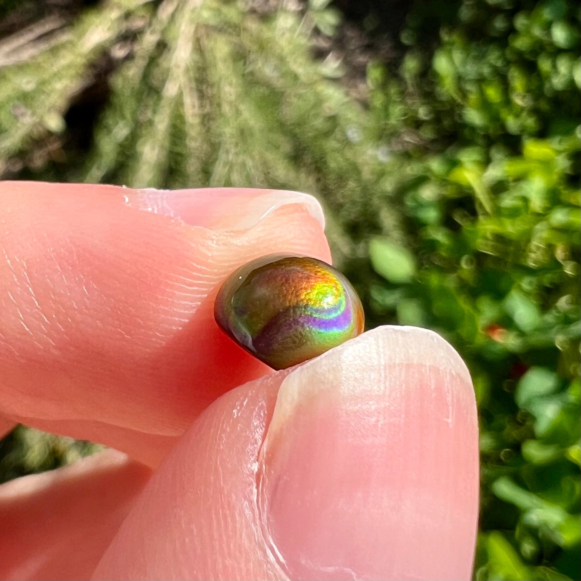 A 1.69ct round cabochon cut Mexican fire agate stone.  The stone is red with purple and green swirls.