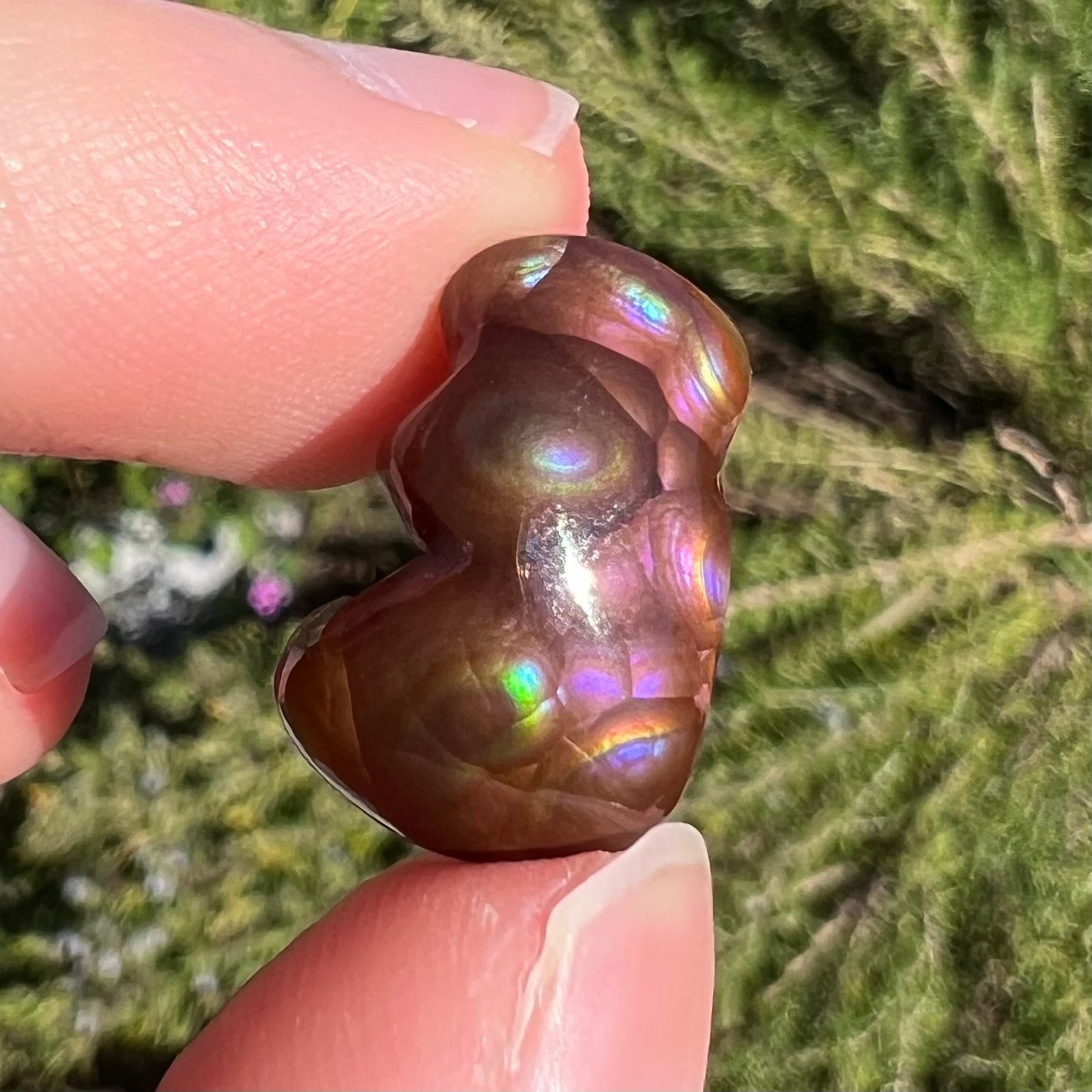 A polished, freeform shaped fire agate stone.  The stone is purple, green, and blue with red and yellow banding.