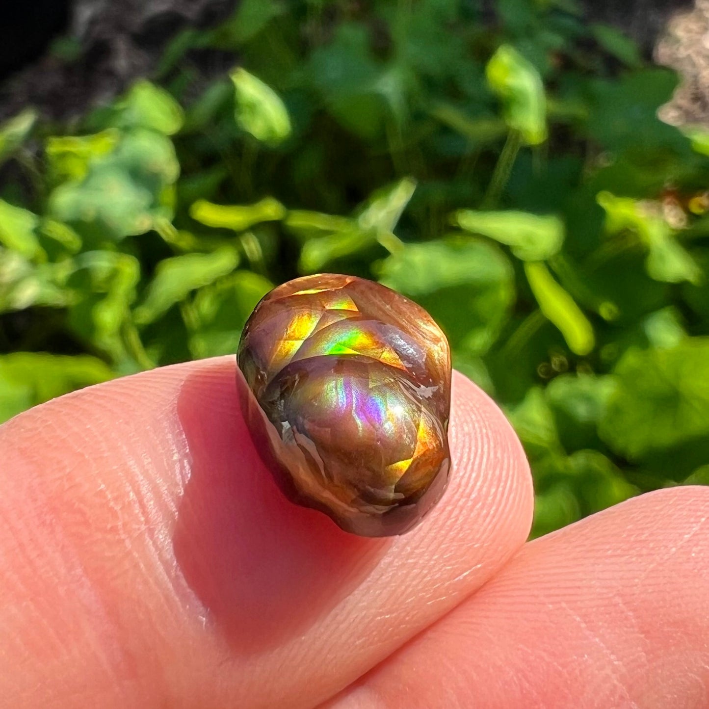 A freeform Mexican fire agate cabochon. The stone shines with bands of green, red, orange, blue, and purple.