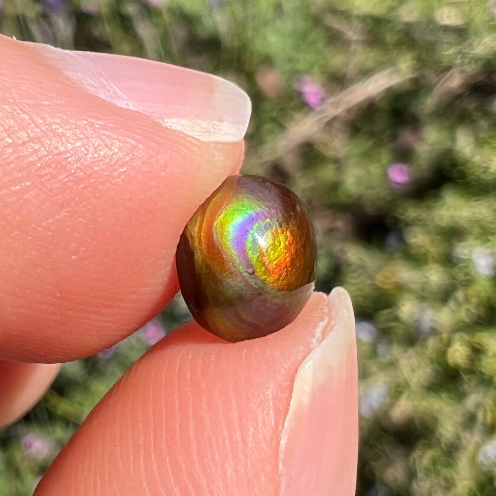 A 1.69ct round cabochon cut Mexican fire agate stone.  The stone is red with purple and green swirls.