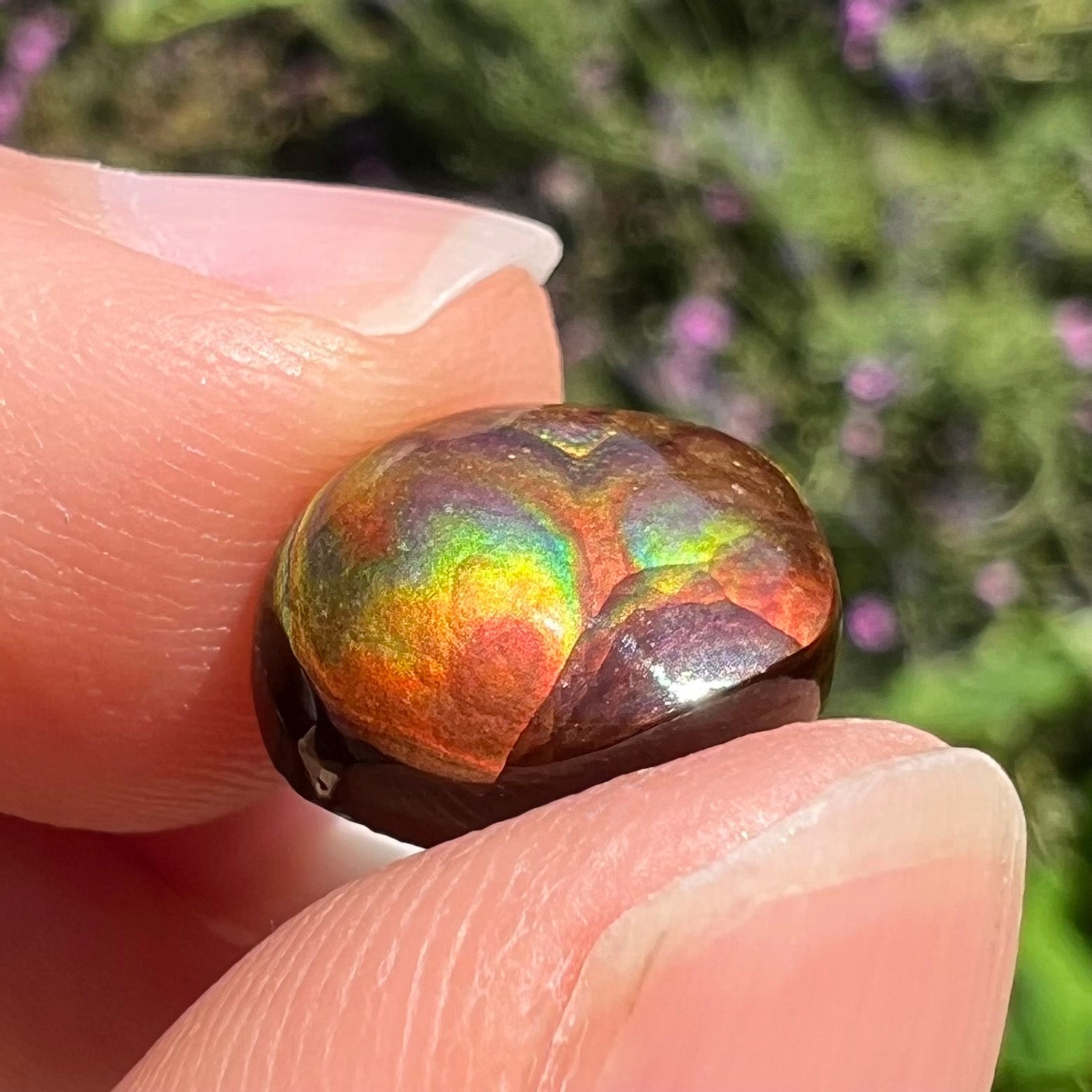A loose, oval cabochon cut Mexican fire agate stone.  The gem is iridescent with every color of the rainbow.