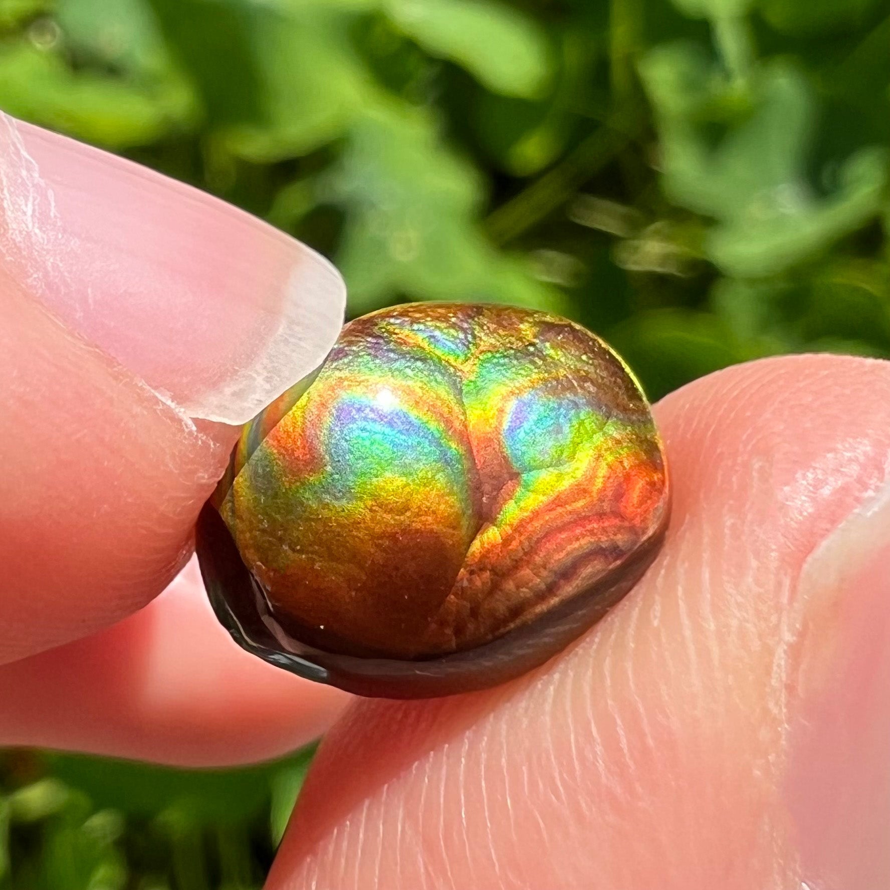 A loose, oval cabochon cut Mexican fire agate stone.  The gem is iridescent with every color of the rainbow.