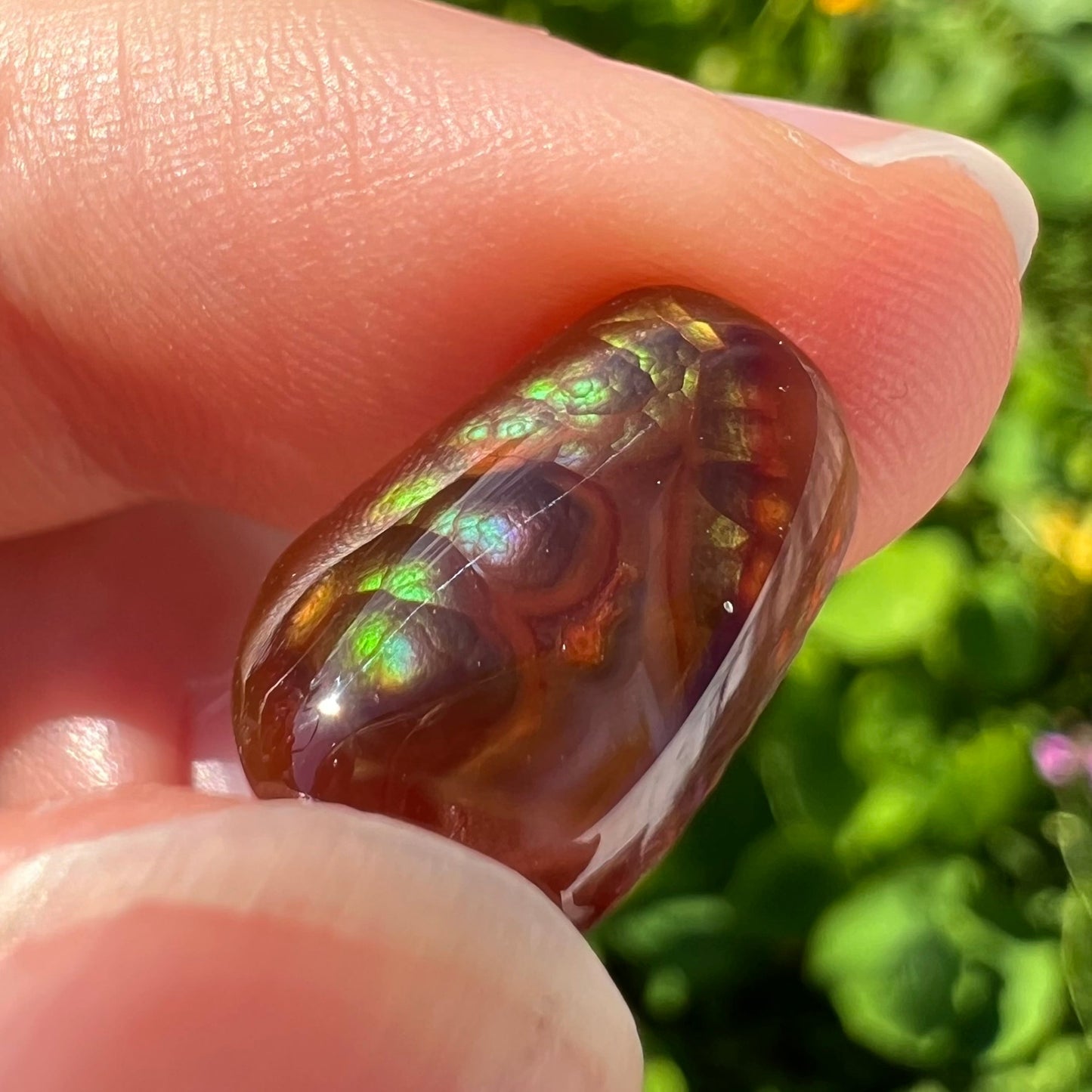 A loose, cabochon cut Mexican fire agate stone. The stone's colors are predominantly bright green and blue.