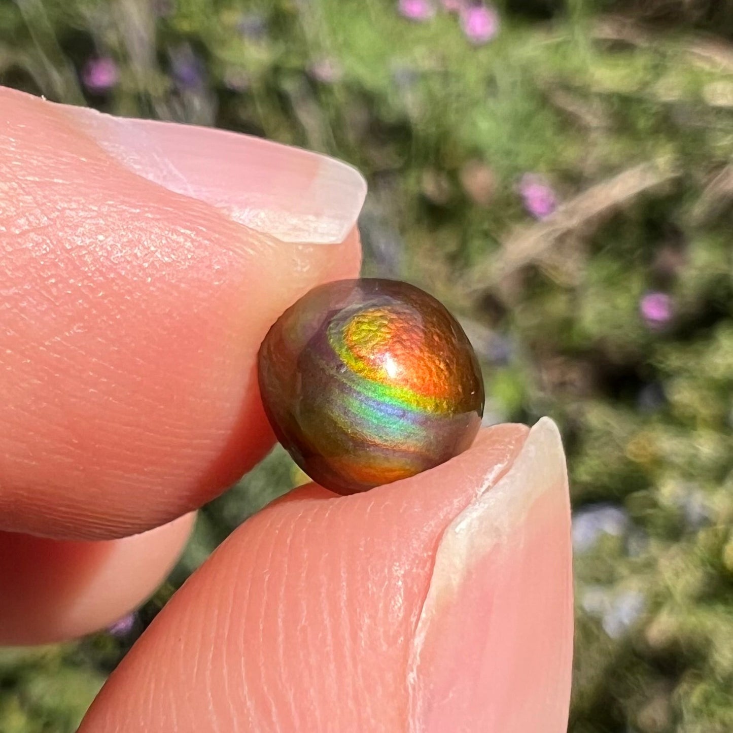A 1.69ct round cabochon cut Mexican fire agate stone. The stone is red with purple and green swirls.