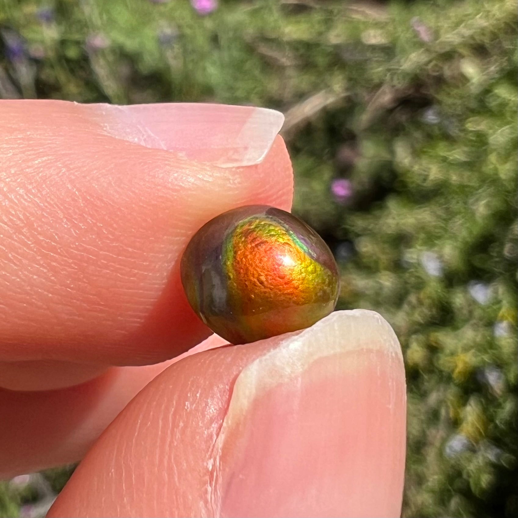 A 1.69ct round cabochon cut Mexican fire agate stone.  The stone is red with purple and green swirls.