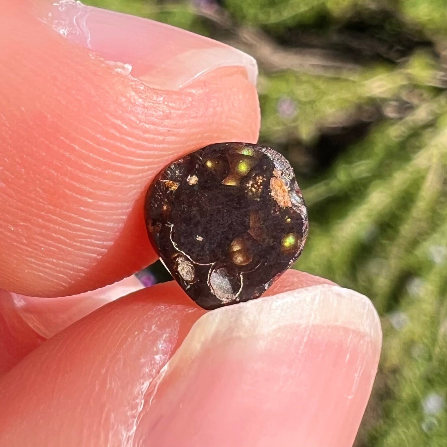 A loose, cabochon cut Mexican fire agate gemstone. The stone is small and exceptionally bright in the sunlight.