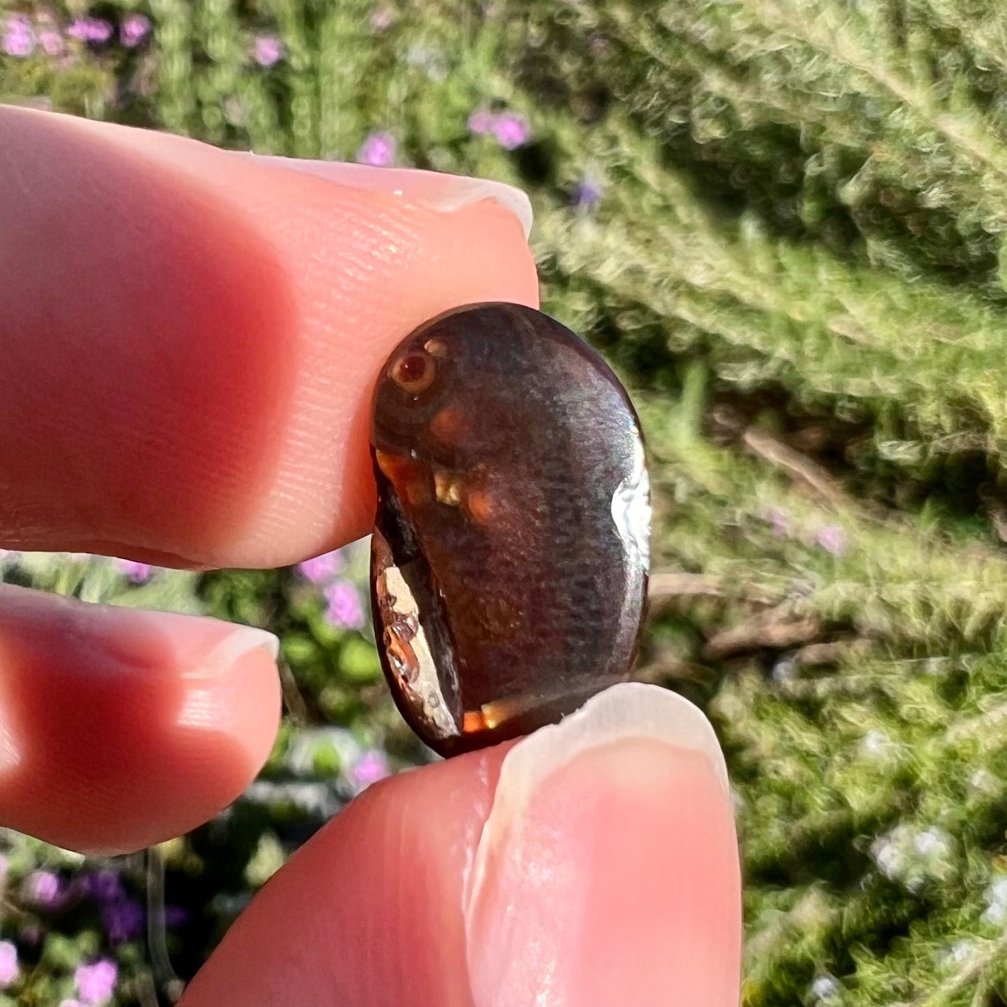 A loose Mexican fire agate gemstone. The stone is red with a puddle of purple and exhibits a metallic luster.