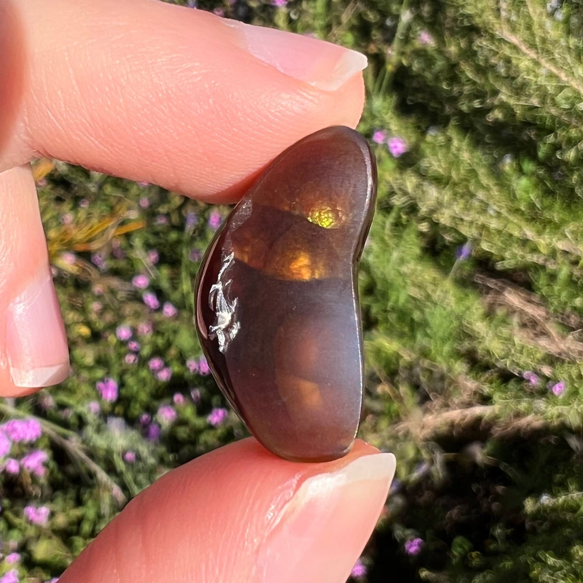 A loose, boomerang shaped fire agate cabochon.  The stone displays greens, purples, blues, and reds.