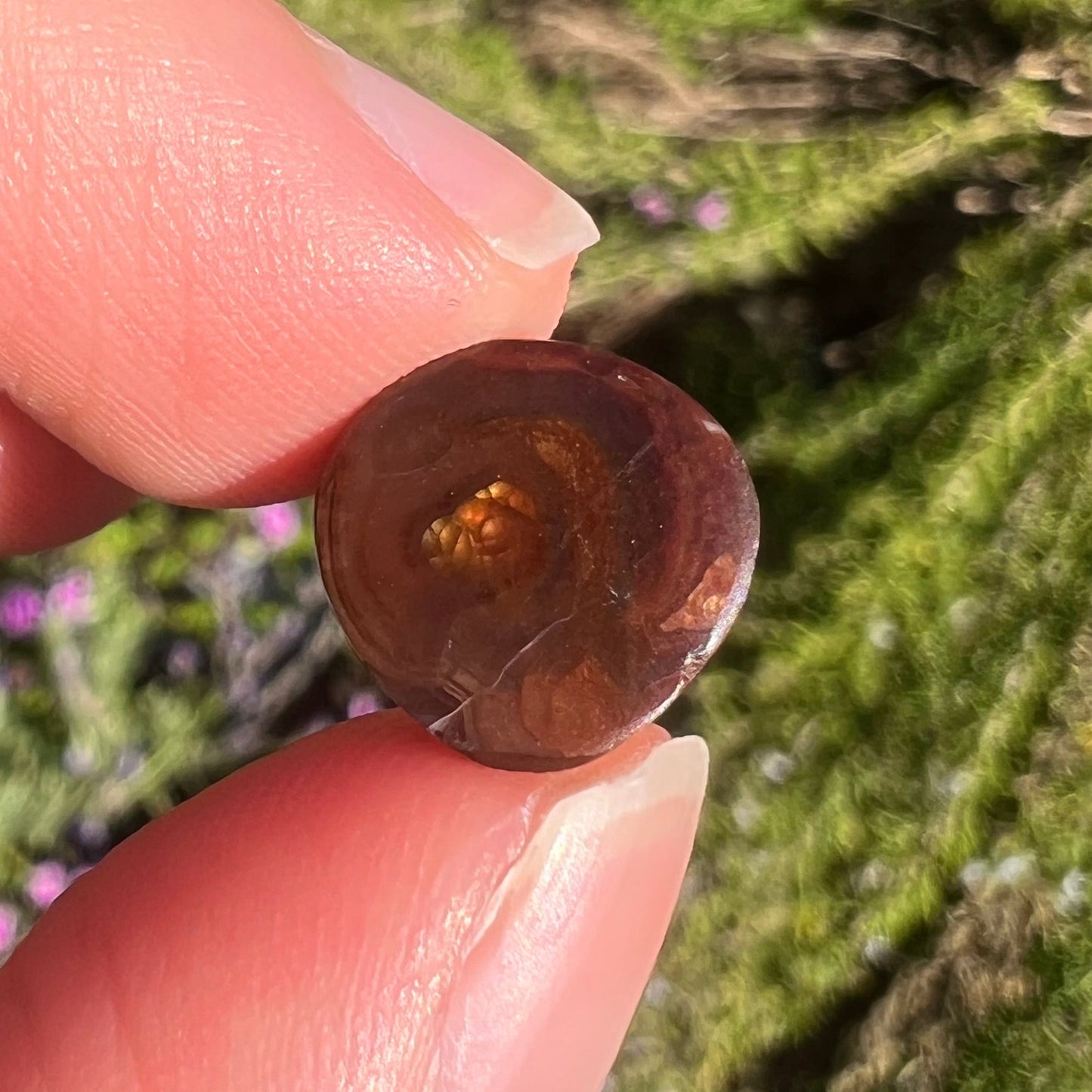 A loose, round cabochon cut Mexican fire agate gemstone. The stone has a sagenite inclusion.