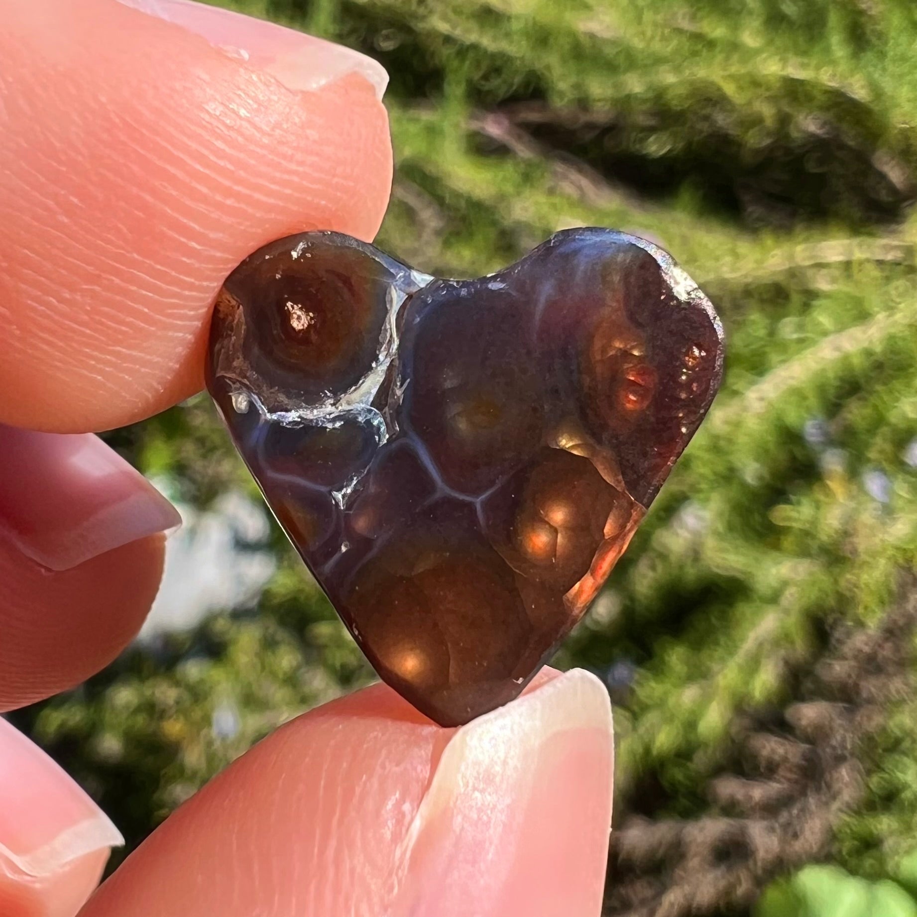 A cabochon cut heart shaped Mexican fire agate stone.  The stone is orange, yellow, pink, green, and purple.