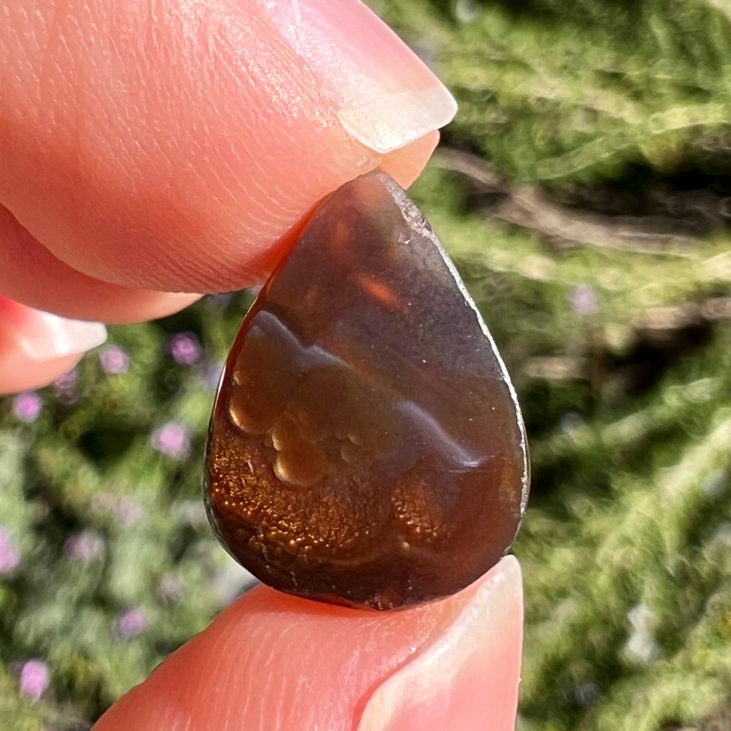 A loose, pear shaped Mexican fire agate gemstone. The stone is predominantly vivid red with green overtones.