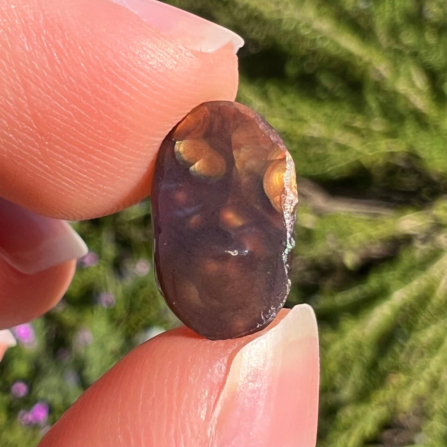 A loose, oval cabochon cut Mexican fire agate stone. The stone has multi-colored banding with blue overtones.