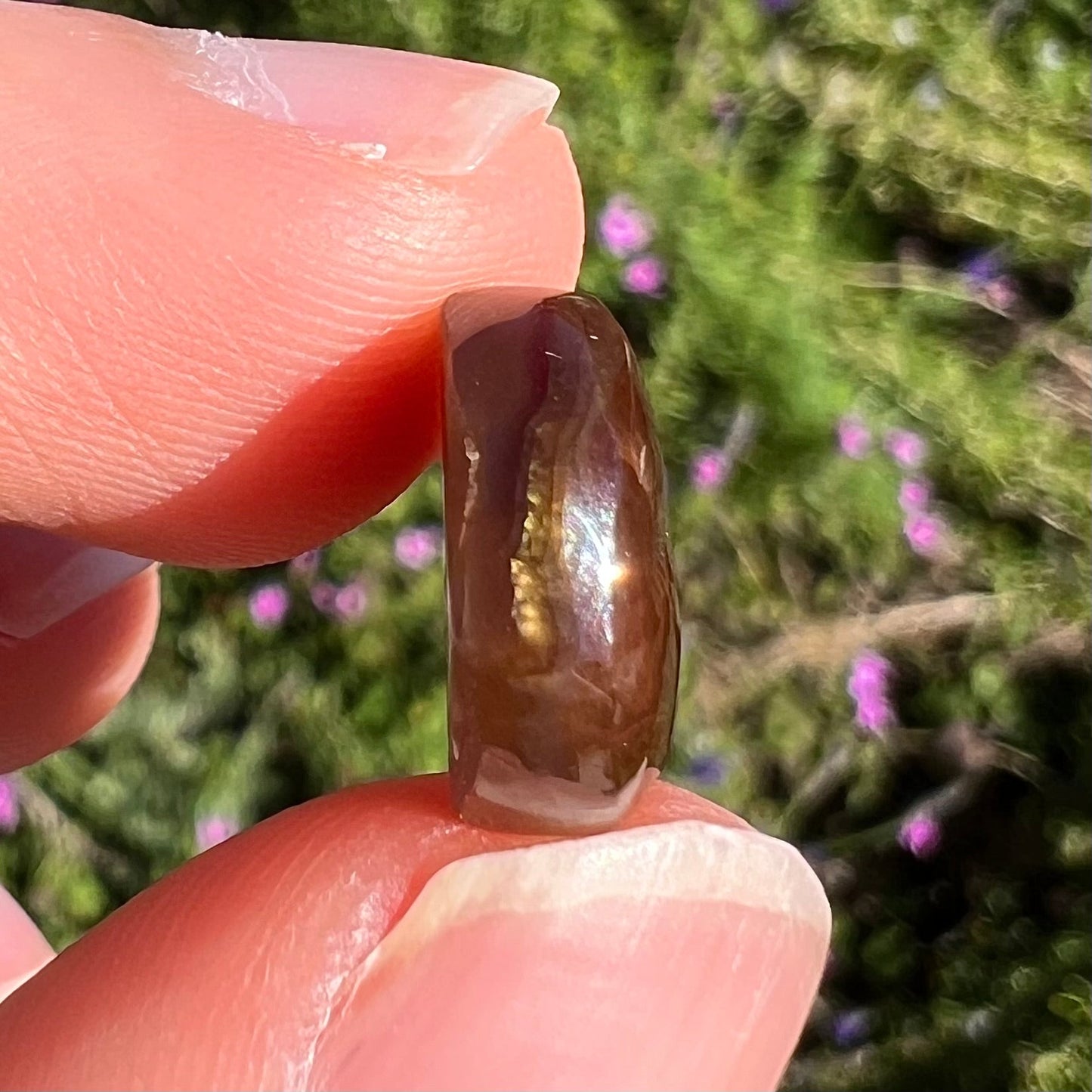 An iridescent green, yellow, and red Mexican fire agate stone. The stone is an off-round cabochon.