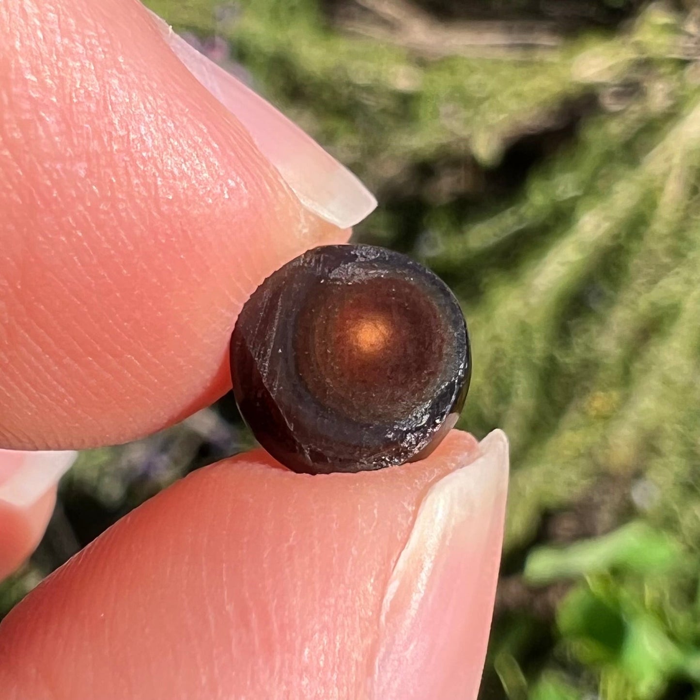 A 1.69ct round cabochon cut Mexican fire agate stone. The stone is red with purple and green swirls.