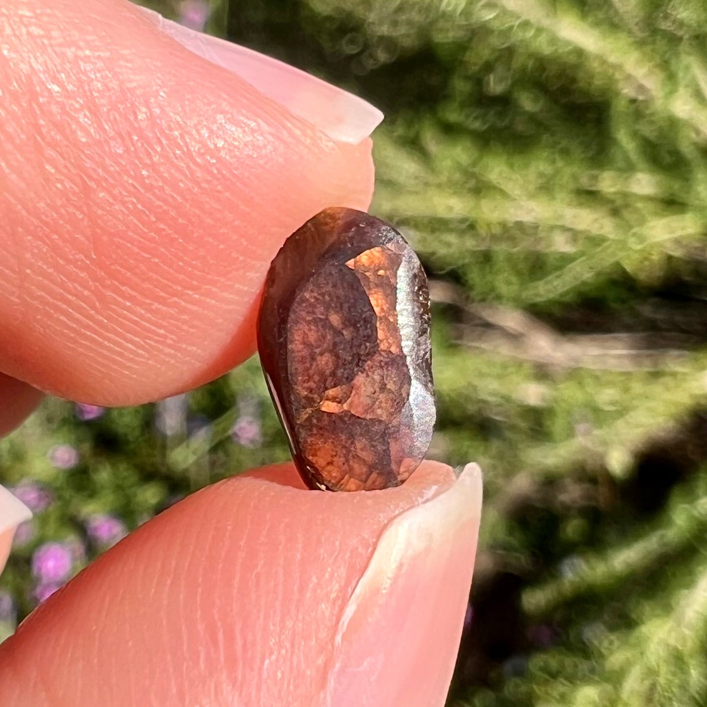 A loose, freeform cabochon cut Mexican fire agate stone that weighs 1.34 carats. The stone is predominantly blue, purple, and green.