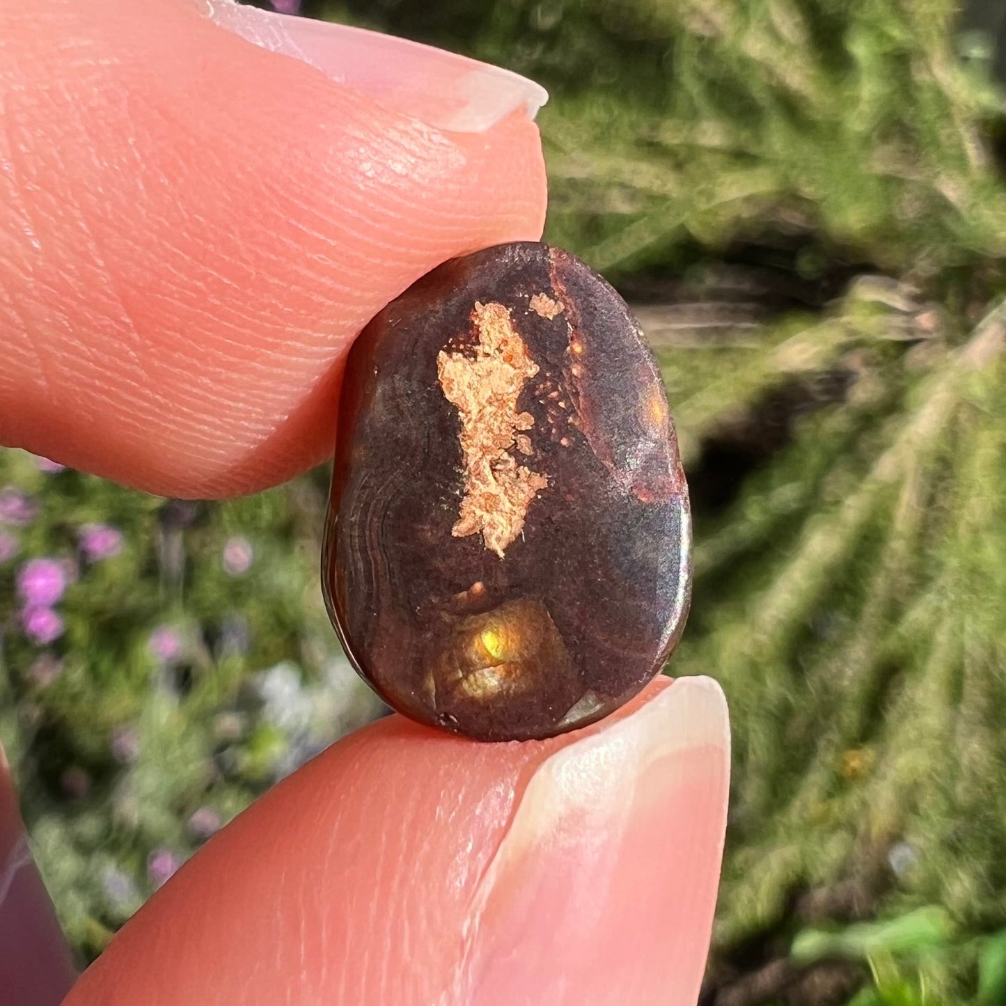 A loose, freefrom cabochon cut Mexican fire agate stone. The stone has red, green, yellow, and purple banding.