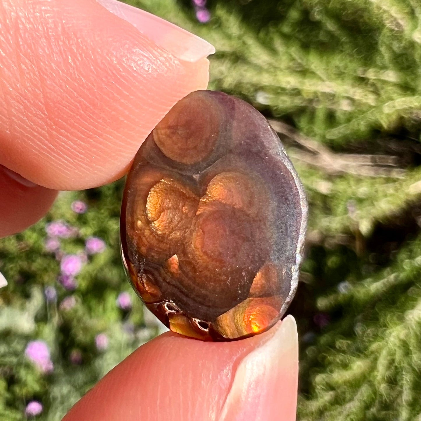 A loose, oval cabochon cut Mexican fire agate stone with pink, orange, and purple banding.