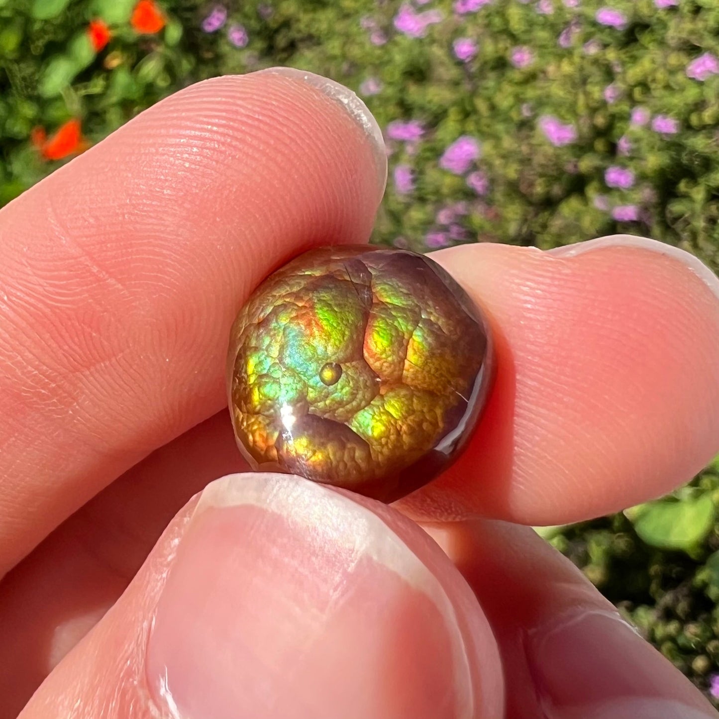 An iridescent green, yellow, and red Mexican fire agate stone. The stone is an off-round cabochon.