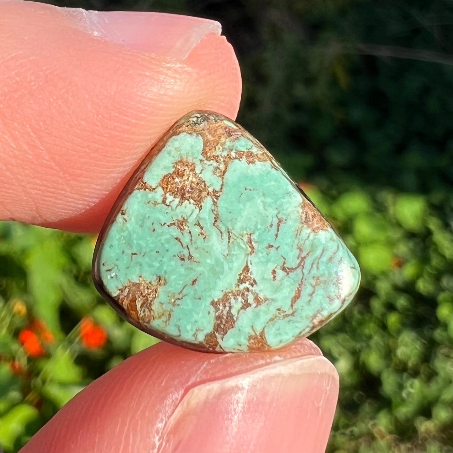A freeform cabochon cut loose Royston turquoise stone. The stone is green with brown matrix.