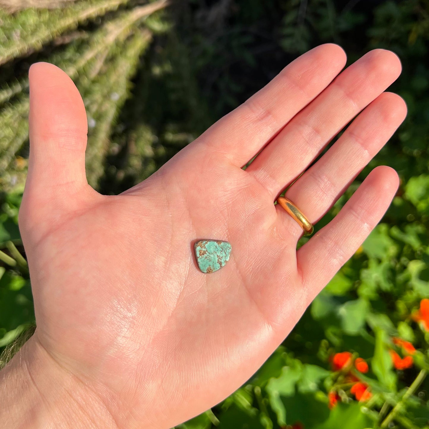 A freeform cabochon cut loose Royston turquoise stone. The stone is green with brown matrix.