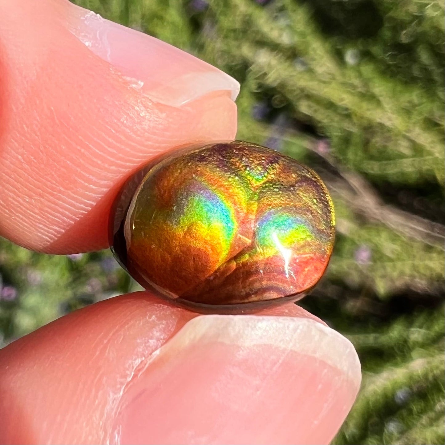 A loose, imperial grade Mexican fire agate gemstone. The stone brightly glows every color in the sunlight.