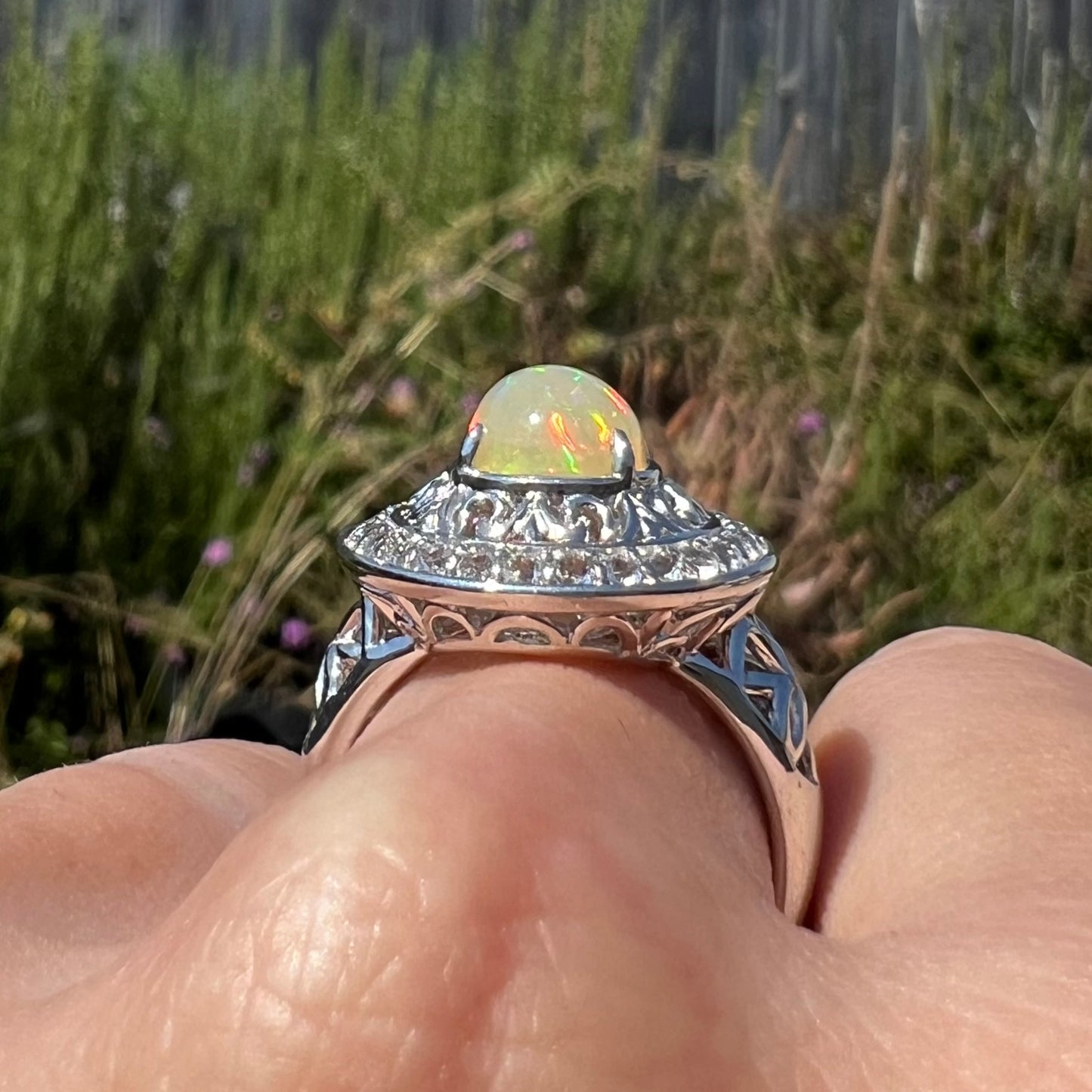 Gallery view of silver Ethiopian opal halo ring in sunlight.