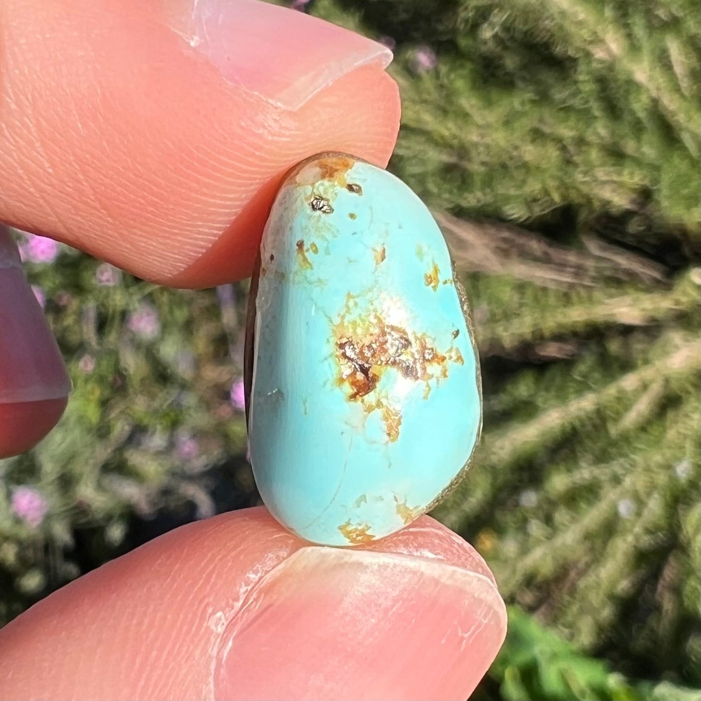 A loose turquoise cabochon from the Sleeping Beauty Mine in Arizona. The stone is light blue with brown matrix.