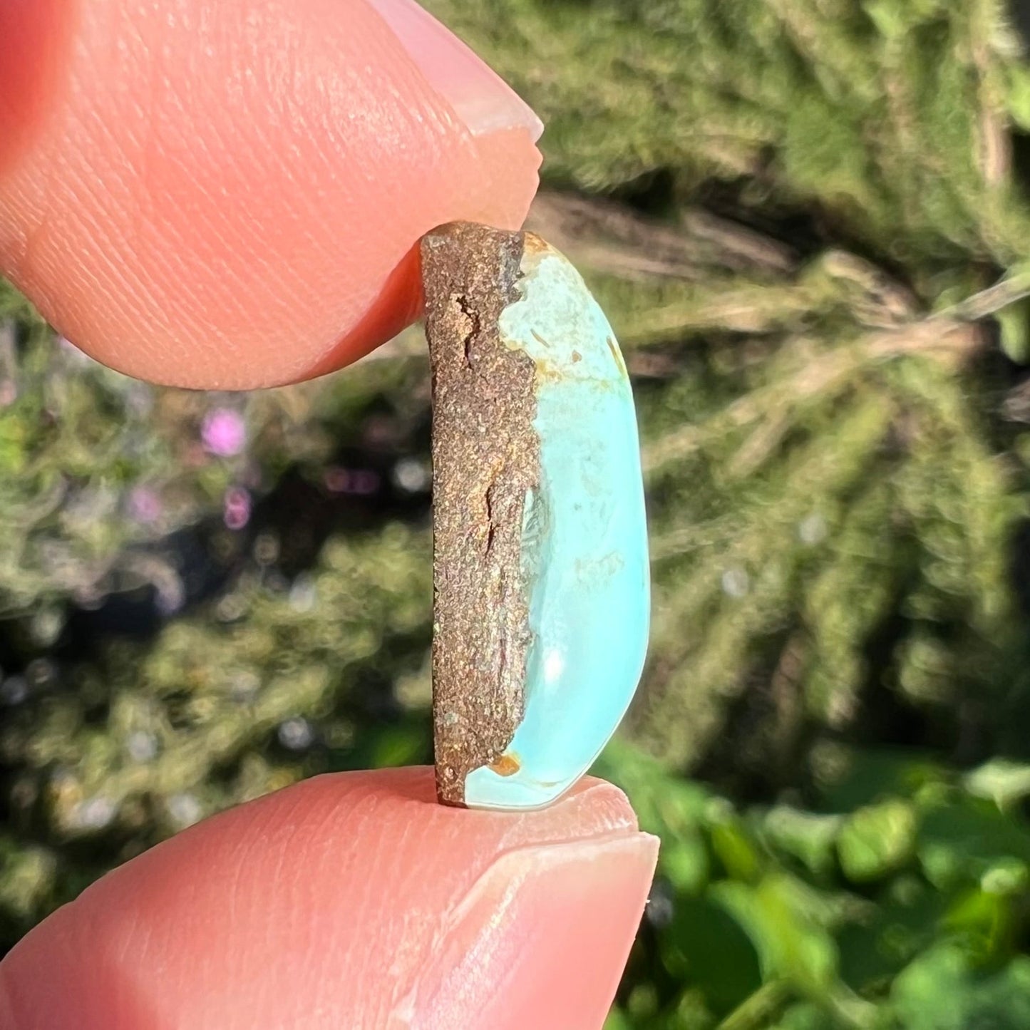 A loose turquoise cabochon from the Sleeping Beauty Mine in Arizona. The stone is light blue with brown matrix.