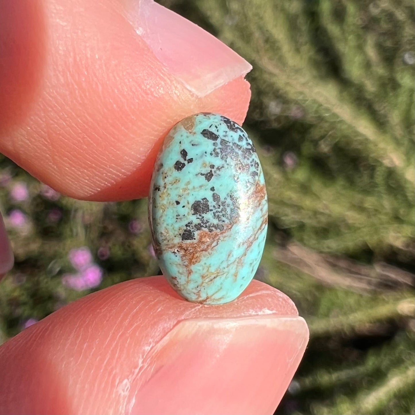 A loose, oval cabochon cut turquoise stone. The stone is light blue with black spotted and brown streaked matrix.