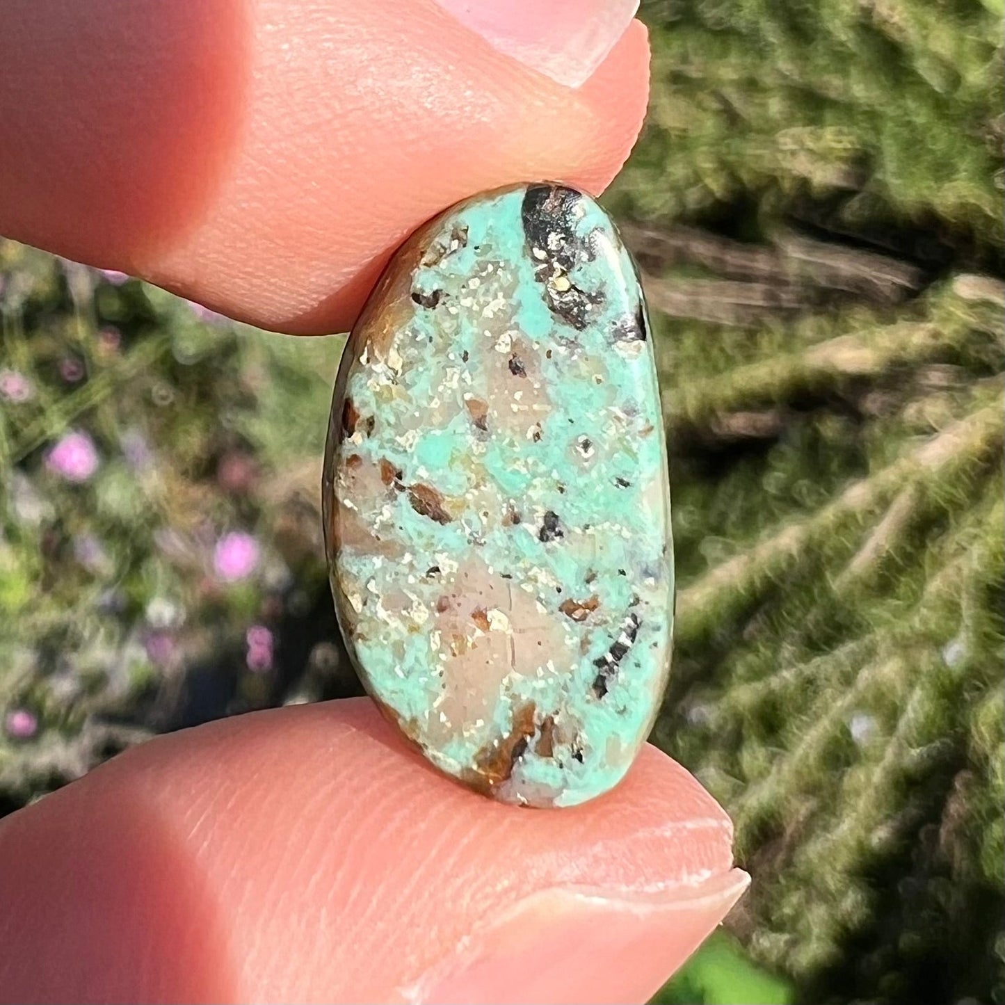 A loose turquoise cabochon. The stone is greenish blue with black, brown, and white quartz matrix.