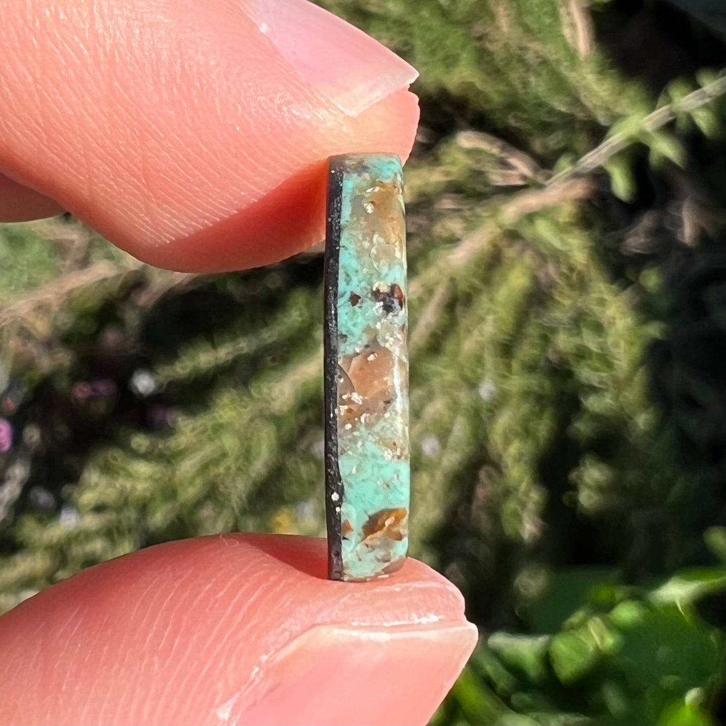 A loose turquoise cabochon. The stone is greenish blue with black, brown, and white quartz matrix.