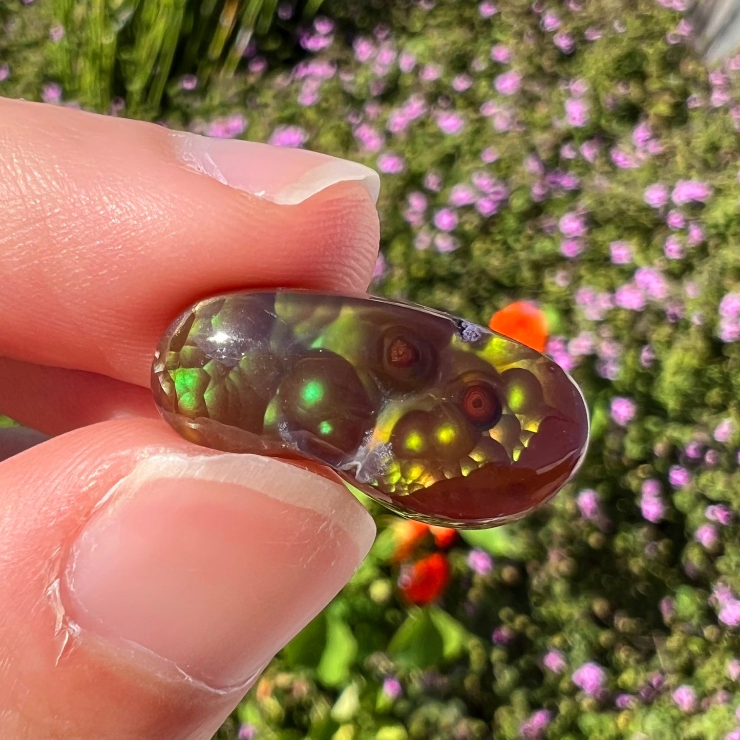 A loose, cabochon cut fire agate gemstone. The stone resembles a foot with a green heel and yellow toes.