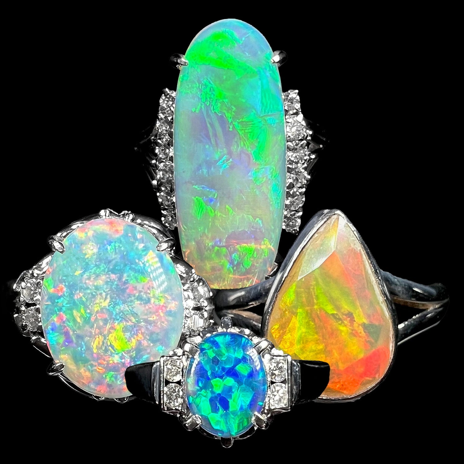 Four opal rings are shown; two Australian crystal opal and diamond rings, one black opal ring, and one Ethiopian fire opal ring.