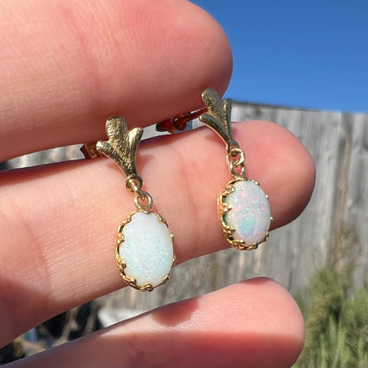 Angled close-up of a pair of yellow gold Fleur-de-Lis Australian light opal dangle earrings shown in the sunlight.