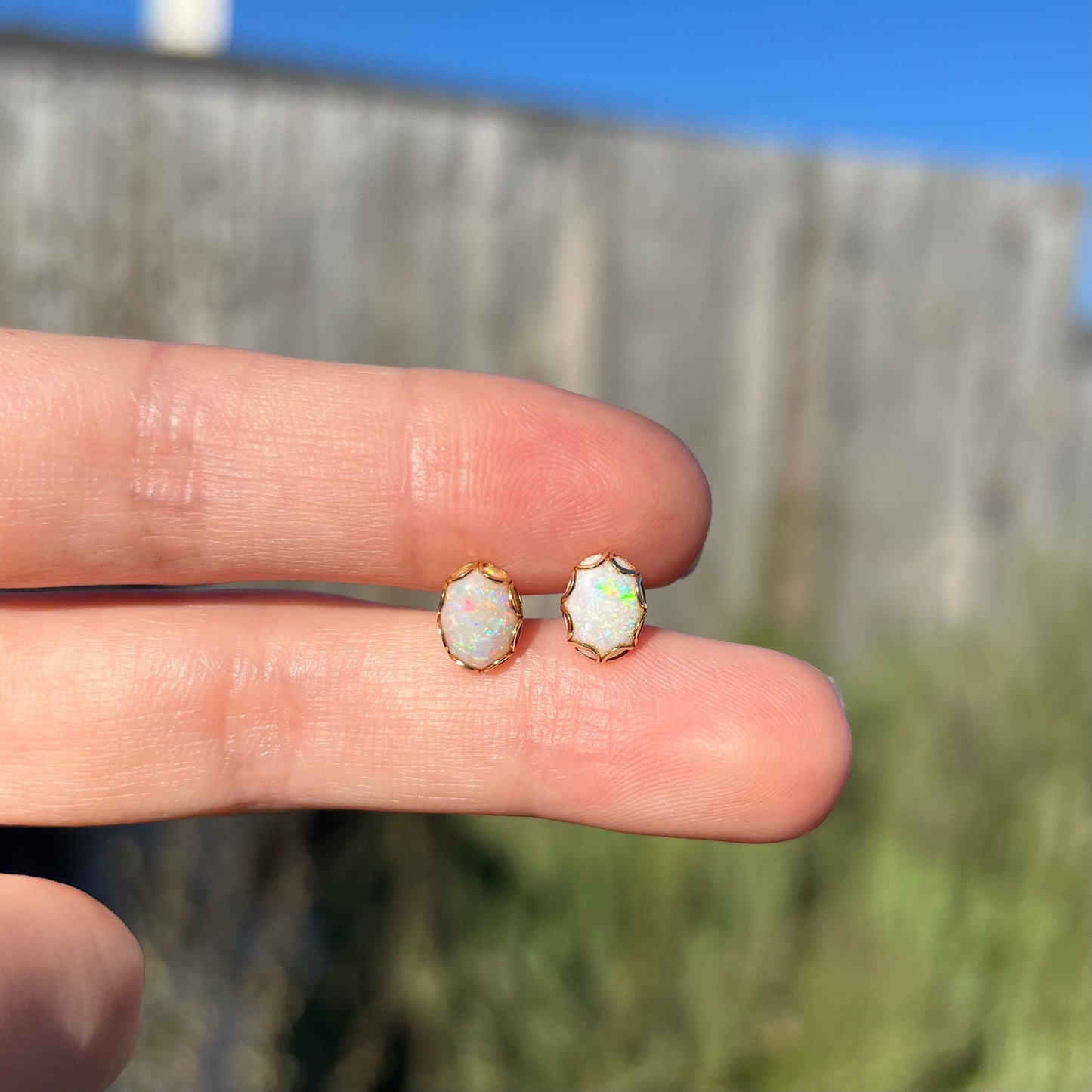 A pair of Australian white opal stud earrings in yellow gold shown held between two fingers in sunlight.