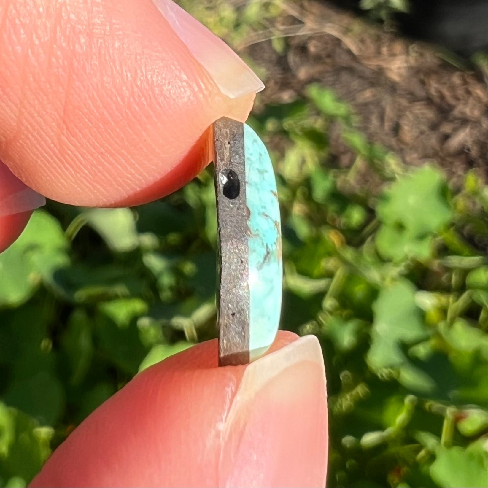 A loose, powder blue Dry Creek turquoise stone from Lander County, Nevada.