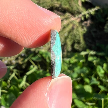 A greenish blue Royston turquoise cabochon.  The stone is backed.