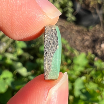 A backed, freeform cabochon cut dark green turquoise stone from Royston Mining District, Nevada.