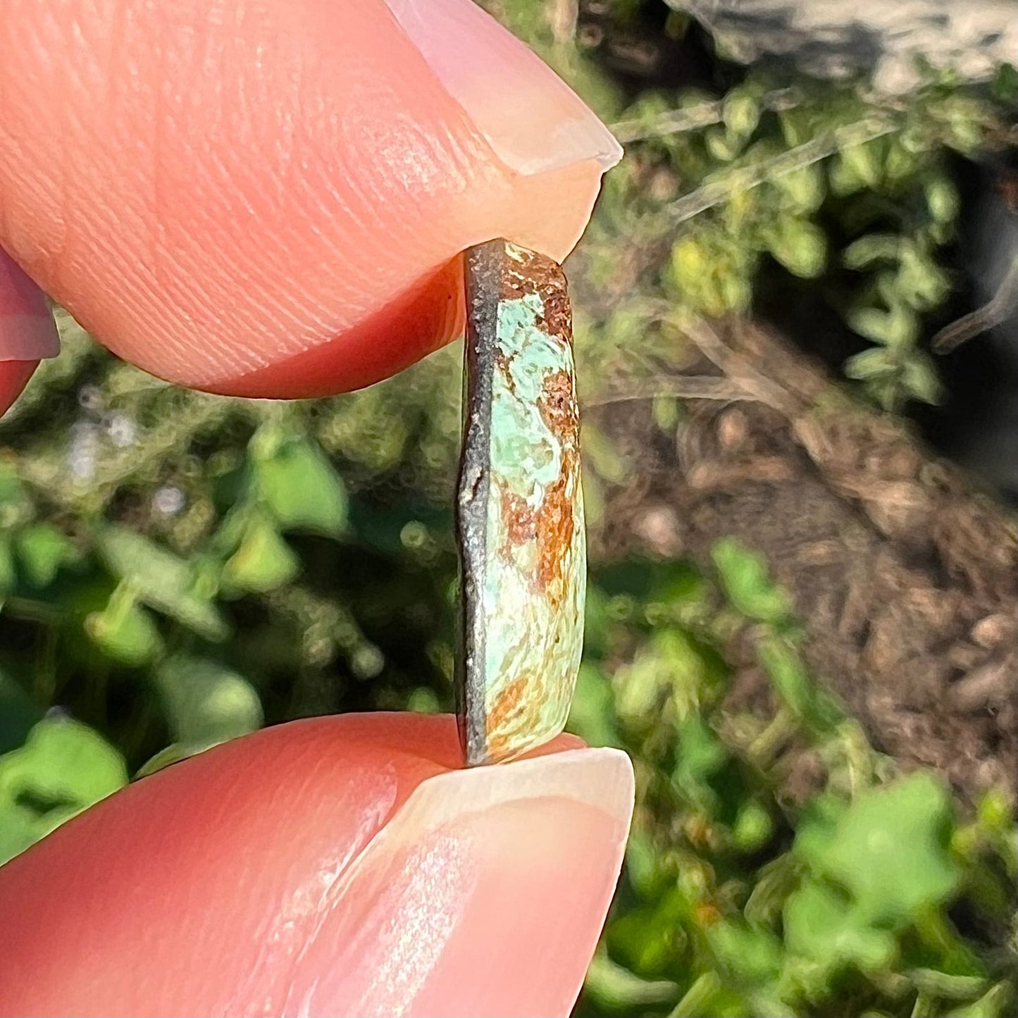 A greenish blue turquoise stone with brown matrix from Royston Mining District, Nevada.