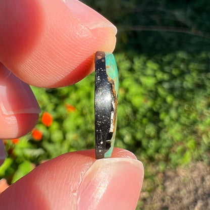 A loose, greenish blue Royston turquoise stone from Nevada.  The stone has brown and black matrix.