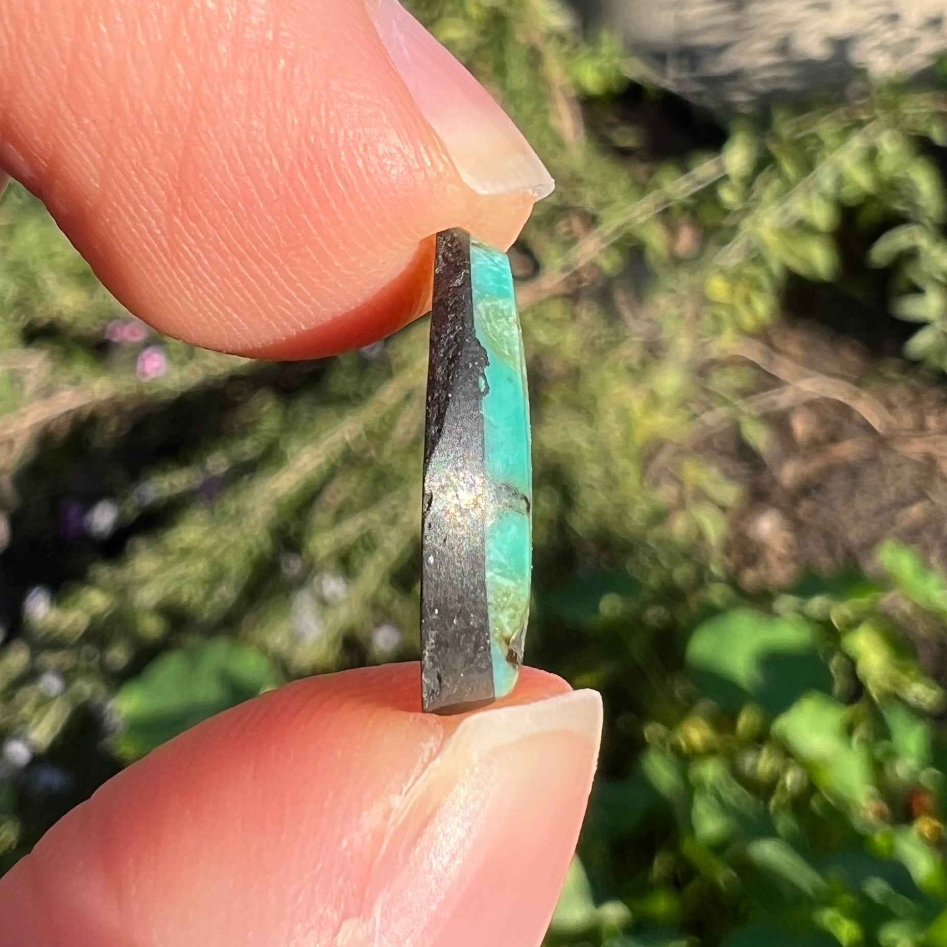 A loose Valley Blue turquoise cabochon from Lander County, Nevada.