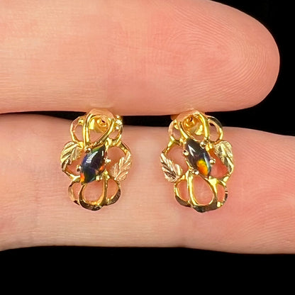 Close-up of Black Hills gold grape leaf design black opal earrings, held in fingers