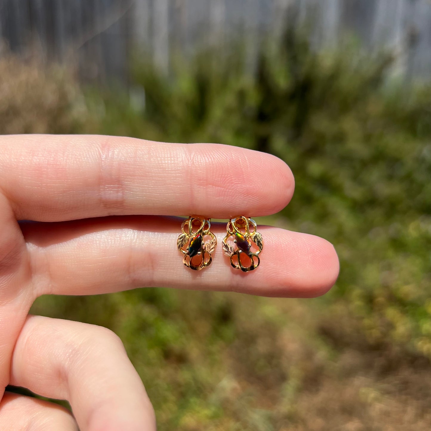 Fingers holding pair of Black Hills gold black opal stud earrings in sunlight