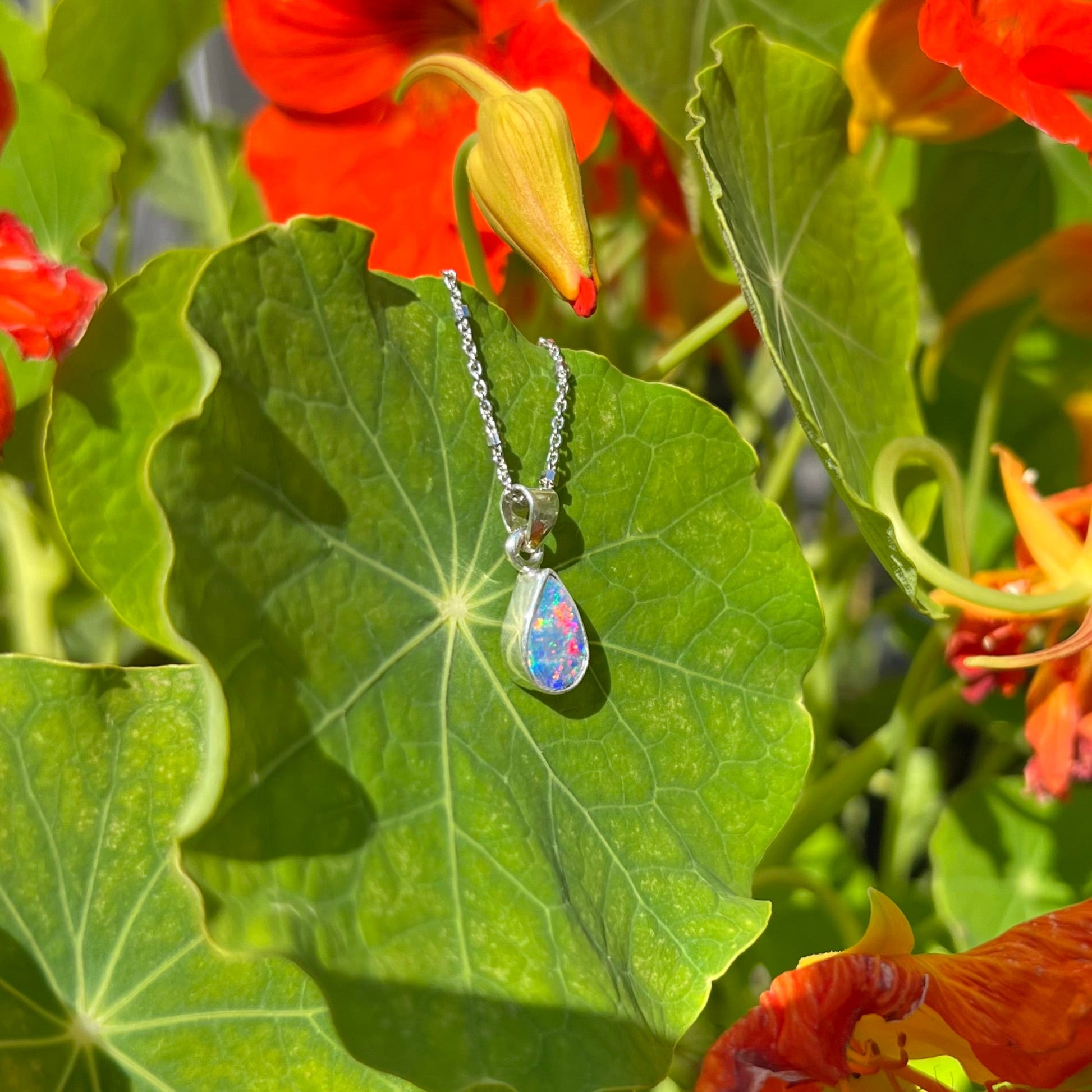 A pear shaped black opal necklace set in sterling silver.  The opal vividly flashes every color of the rainbow.