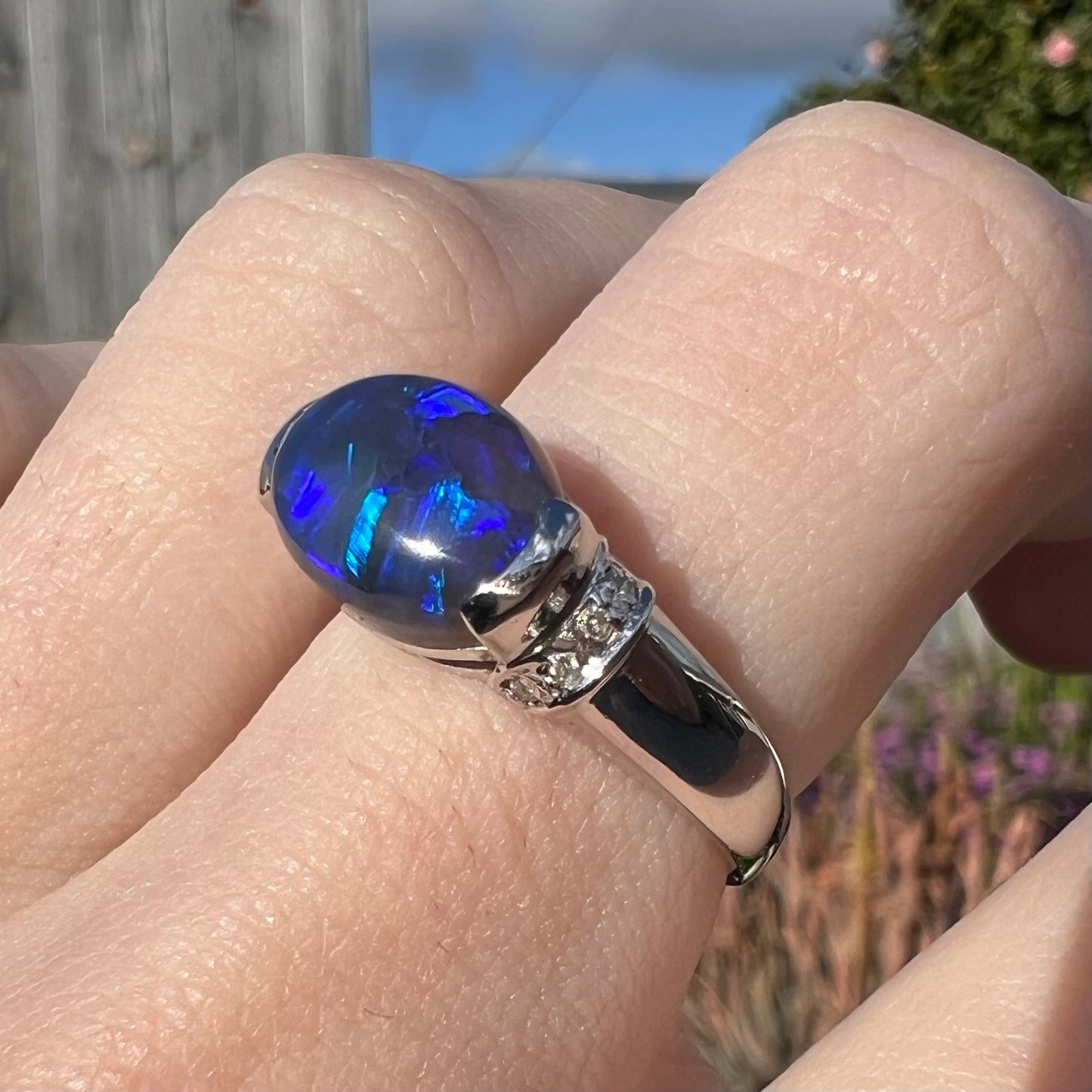 Blue color play is displayed on a Lightning Ridge black opal that is mounted in a platinum ring.